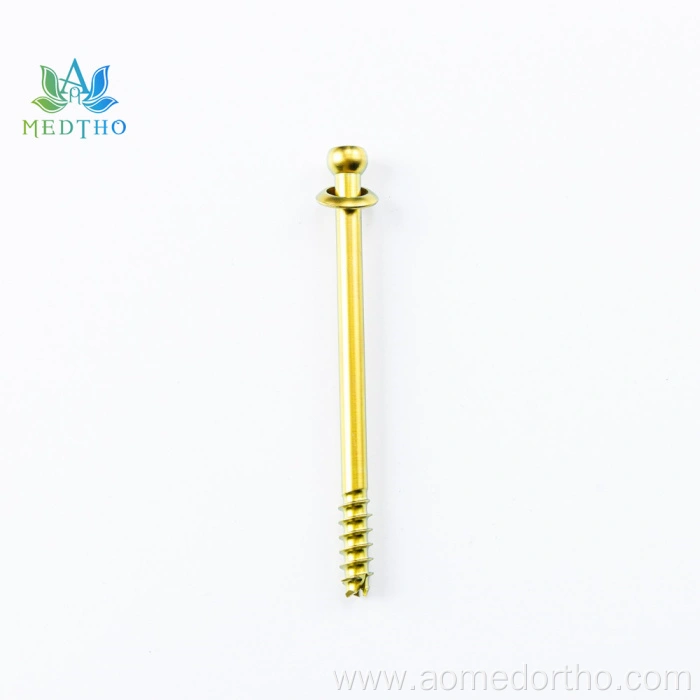 cannulated hip screw